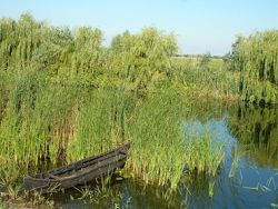 danubio canneto